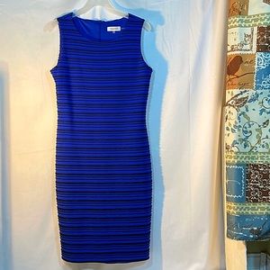 Calvin Klein Women’s Royal Blue/Black Lined Dress